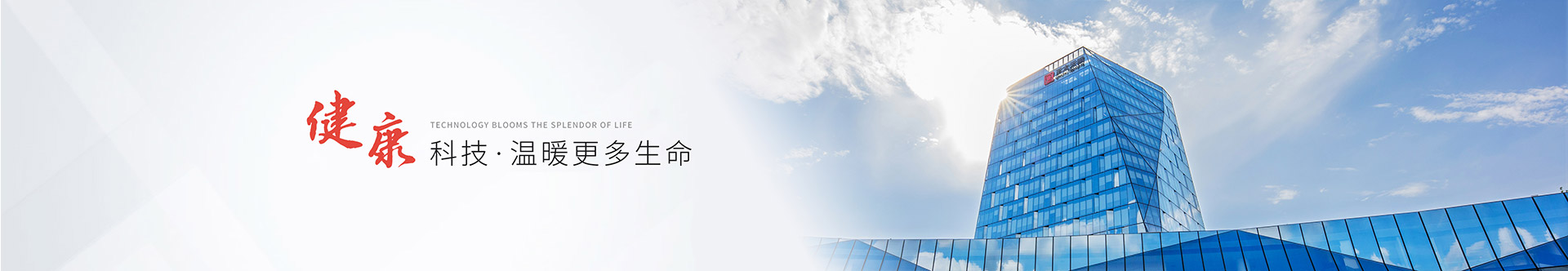 顺欣动态